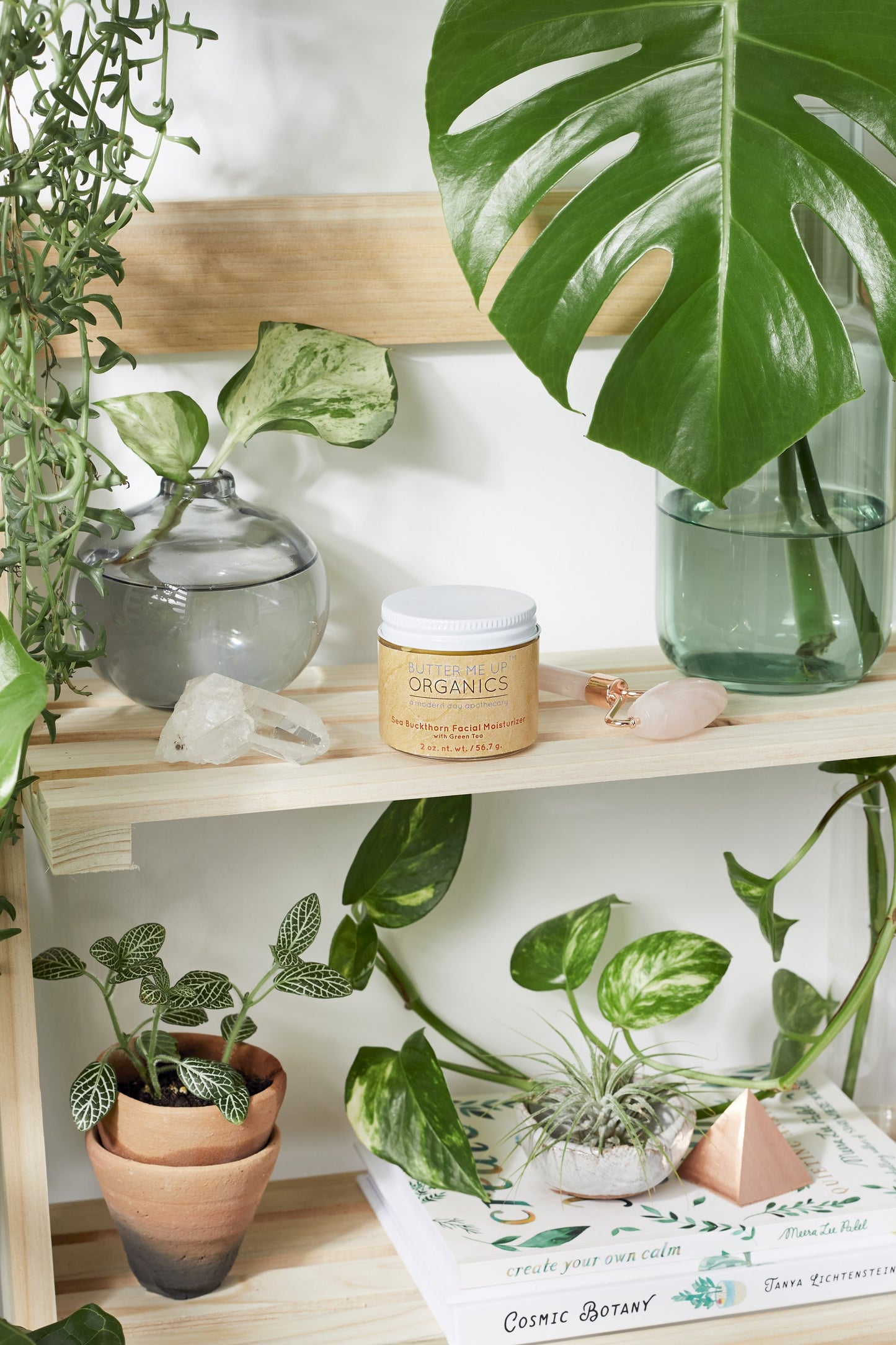Sea Buckthorn Facial Moisturizer | Organic Anti-Aging Cream