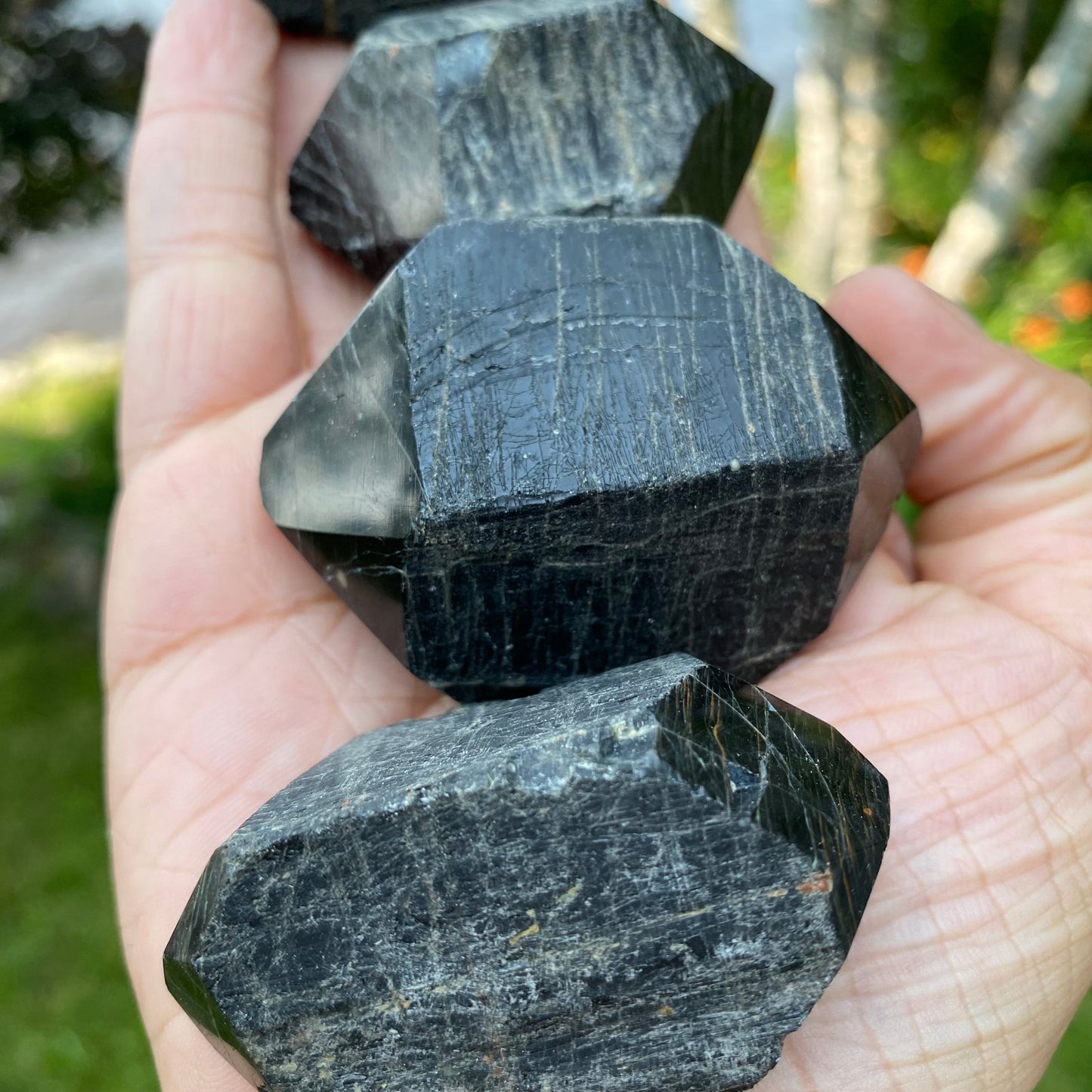 Black Tourmaline Double Terminated Points | Raw Crystal with Polished Ends