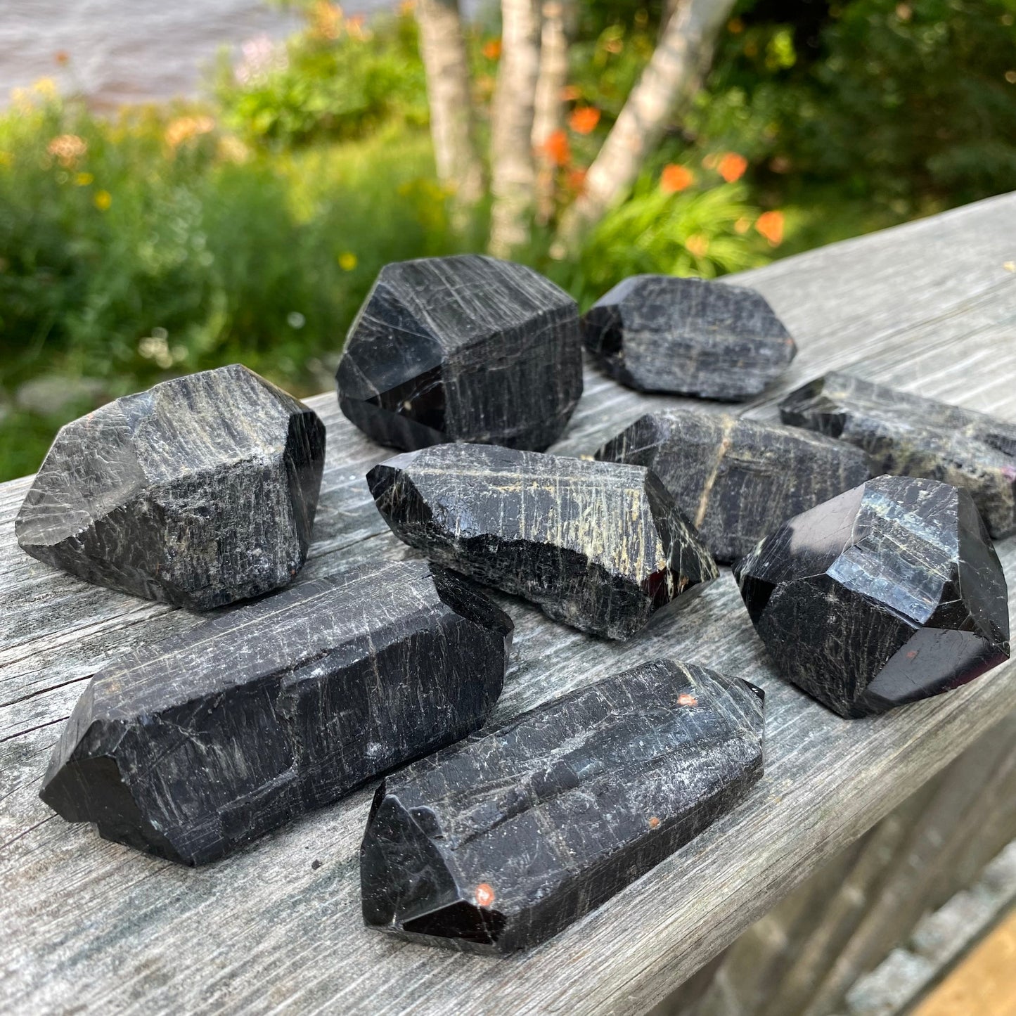 Black Tourmaline Double Terminated Points | Raw Crystal with Polished Ends