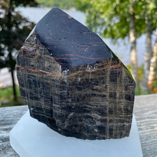 Black Tourmaline Polished Point | Natural Raw Crystal with Cut Base